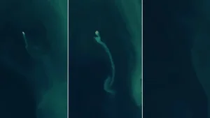 The Mystery of the Ghost Island: Appearing and Vanishing in the Caspian Sea - image 5