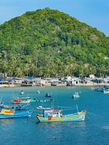 Authentic Fisherman Experience in Nam Du: Squid Catching and Net Pulling Adventures - image 2