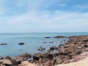Authentic Fisherman Experience in Nam Du: Squid Catching and Net Pulling Adventures - image 1