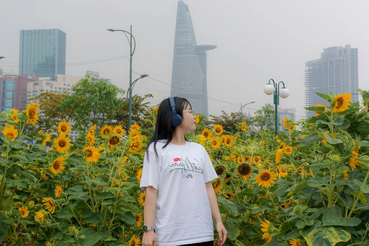 Stunning Sunflower Garden by the Saigon River: A Golden Paradise for Photography Lovers