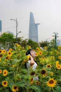 Stunning Sunflower Garden by the Saigon River: A Golden Paradise for Photography Lovers - image 8