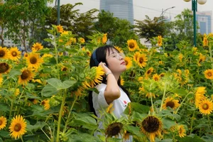 Stunning Sunflower Garden by the Saigon River: A Golden Paradise for Photography Lovers - image 7