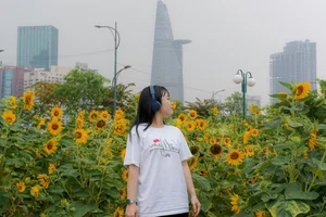 Stunning Sunflower Garden by the Saigon River: A Golden Paradise for Photography Lovers - image 0