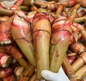 From Waste to Wonder: Discovering Rare Delicacies Made from Unexpected Ingredients - image 3