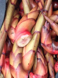 From Waste to Wonder: Discovering Rare Delicacies Made from Unexpected Ingredients - image 0