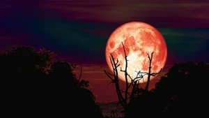 Stargazing Guide: Best Times to Watch the October Supermoon in Vietnam - image 6