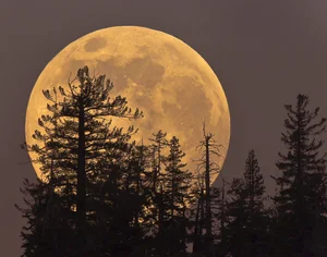 Stargazing Guide: Best Times to Watch the October Supermoon in Vietnam - image 4