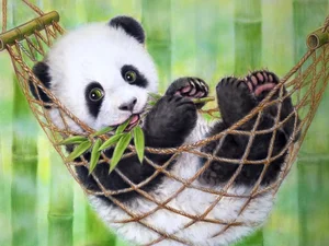Unbelievable Facts About Giant Pandas: Beyond the Cute and Cuddly Exterior - image 13