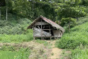 Mysterious Forest Cabin Reveals Crucial Clues in Cold Case - image 2