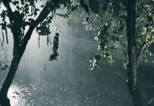 Mysterious Forest Cabin Reveals Crucial Clues in Cold Case - image 4