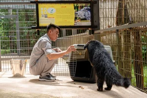 National Geographic Photographers Explore Vinpearl Safari Phu Quoc - image 3