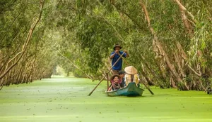 Exploring the Vibrant Fruit Season in the Mekong Delta's Lush Orchards - image 2