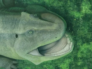 Ancient 275-Million-Year-Old Fossil Reveals Spiral-Toothed Predator - image 7