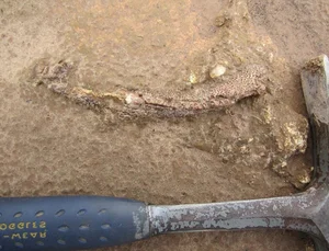 Ancient 275-Million-Year-Old Fossil Reveals Spiral-Toothed Predator - image 5
