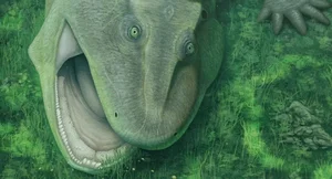 Ancient 275-Million-Year-Old Fossil Reveals Spiral-Toothed Predator - image 2