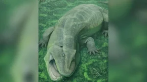 Ancient 275-Million-Year-Old Fossil Reveals Spiral-Toothed Predator - image 6