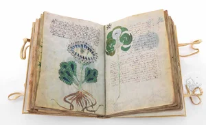 Unlocking History: The Top 3 Most Mysterious Unsolved Codes and Ciphers - image 2