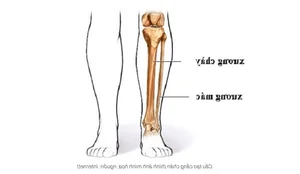 Medical Breakthrough: Successful Ankle Joint Reconstruction for 8-Year-Old Cancer Patient - image 4