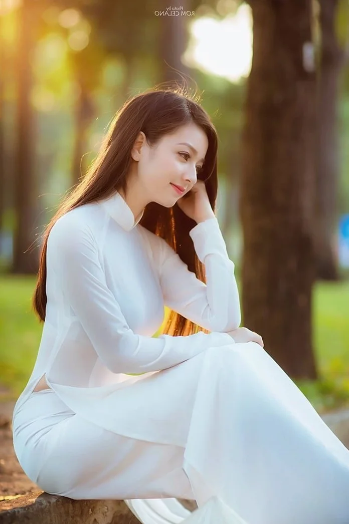 Ultimate 4K Ao Dai Gallery: Redefining Traditional Vietnamese Beauty