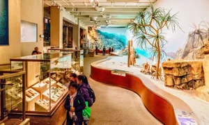 Exploring Hong Kong's Most Mysterious and Hauntingly Beautiful Museum - image 6