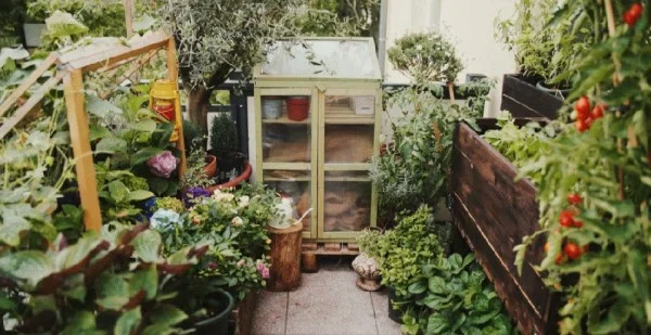 Transforming a Small 8m2 Balcony into a Lush, Colorful Vegetable Garden
