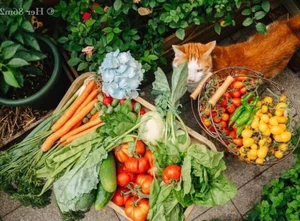 Transforming a Small 8m2 Balcony into a Lush, Colorful Vegetable Garden - image 6
