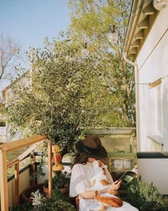 Transforming a Small 8m2 Balcony into a Lush, Colorful Vegetable Garden - image 4