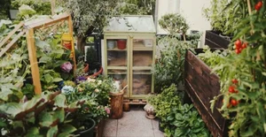 Transforming a Small 8m2 Balcony into a Lush, Colorful Vegetable Garden - image 0