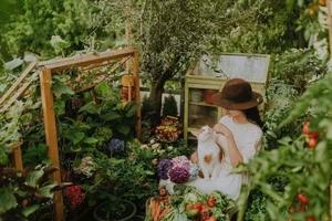 Transforming a Small 8m2 Balcony into a Lush, Colorful Vegetable Garden - image 12