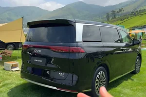 BYD Xia Rebranded as M9 for International Launch and Vietnam Entry - image 2