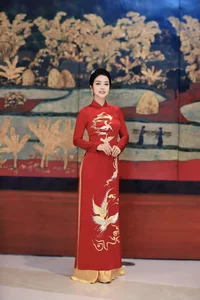Vietnamese Celebrities Shine in Elegant Ao Dai for Tet Celebrations - image 10