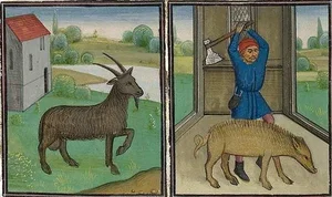 The Bizarre History of Medieval Animal Trials: When Pigs and Insects Stood Before the Judge - image 2