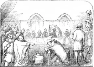 The Bizarre History of Medieval Animal Trials: When Pigs and Insects Stood Before the Judge - image 1