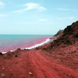 Crimson Sea Mystery: Natural Phenomenon or Strange Omen After Heavy Rain? - image 2
