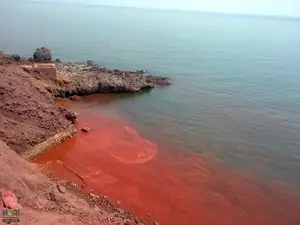 Crimson Sea Mystery: Natural Phenomenon or Strange Omen After Heavy Rain? - image 0