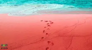 Crimson Sea Mystery: Natural Phenomenon or Strange Omen After Heavy Rain? - image 5