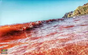 Crimson Sea Mystery: Natural Phenomenon or Strange Omen After Heavy Rain? - image 1