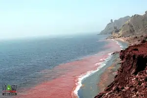 Crimson Sea Mystery: Natural Phenomenon or Strange Omen After Heavy Rain? - image 4