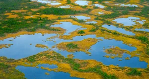 Mind-Blowing Facts About Russia That Will Surprise You - image 3