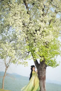 YiTuYu Art Language Vol.9934: Stunning Portrait Collection of Han Han Ting - image 26