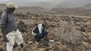 The Mystery of the Mini Elephant: A Species Returns After 50 Years - image 4