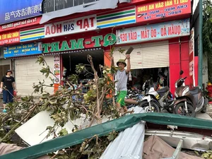 Video: Quang Ninh Residents Reflect on the Unprecedented Destruction of Typhoon No. 3 - image 7