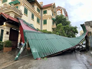 Video: Quang Ninh Residents Reflect on the Unprecedented Destruction of Typhoon No. 3 - image 13