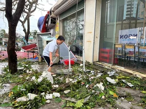 Video: Quang Ninh Residents Reflect on the Unprecedented Destruction of Typhoon No. 3 - image 10