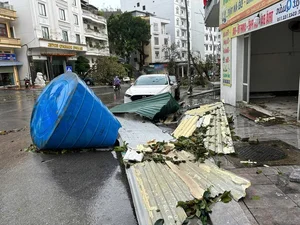 Video: Quang Ninh Residents Reflect on the Unprecedented Destruction of Typhoon No. 3 - image 5