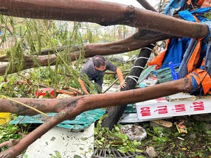 Video: Quang Ninh Residents Reflect on the Unprecedented Destruction of Typhoon No. 3 - image 15