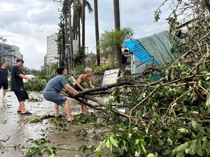 Video: Quang Ninh Residents Reflect on the Unprecedented Destruction of Typhoon No. 3 - image 2