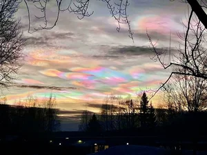 Mind-Bending Moments Caught on Camera That Will Leave You Speechless - image 8