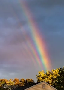 Mind-Bending Moments Caught on Camera That Will Leave You Speechless - image 0