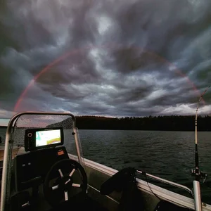 Mind-Bending Moments Caught on Camera That Will Leave You Speechless - image 10